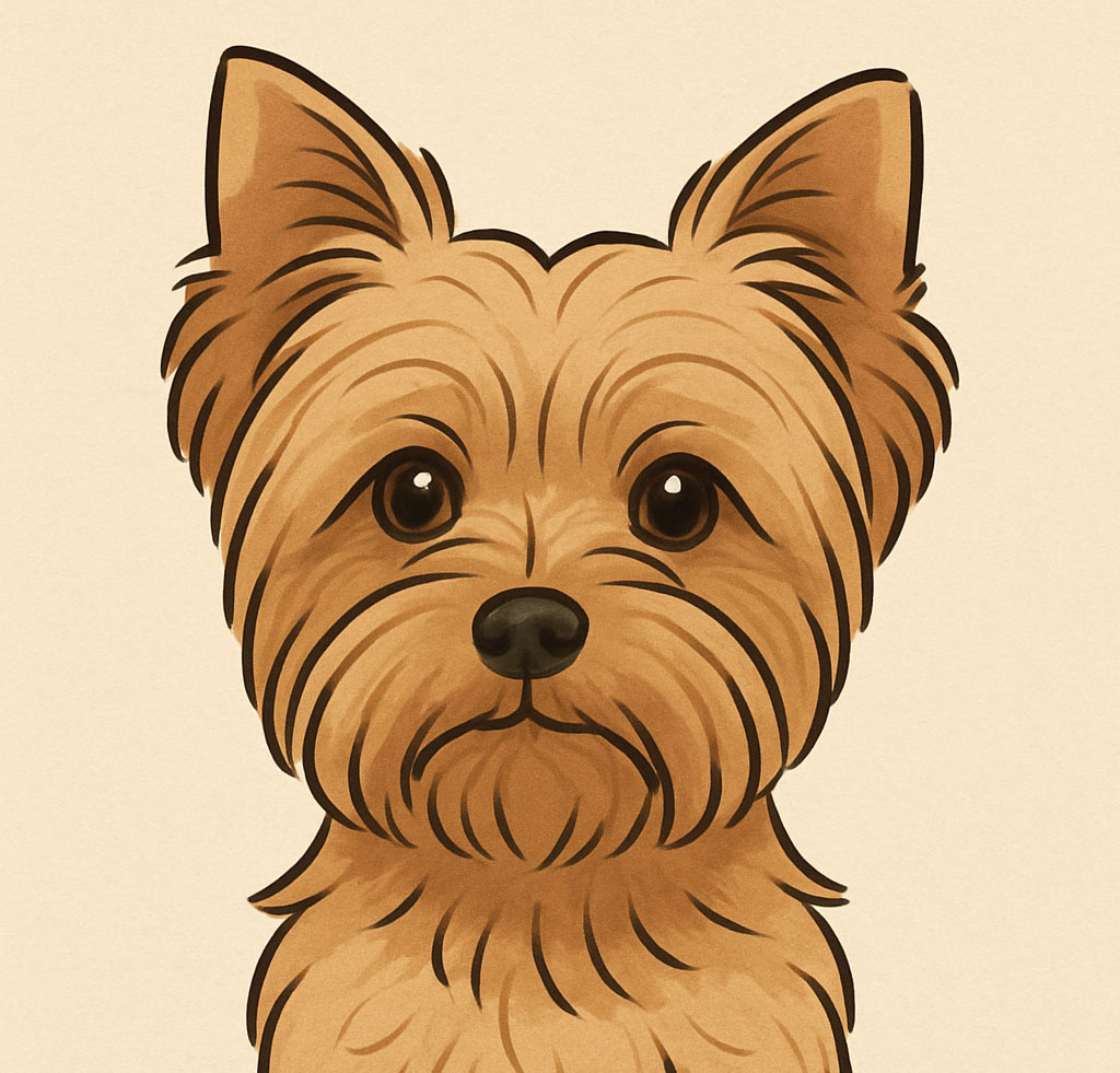 Lexi the Yorkie illustration