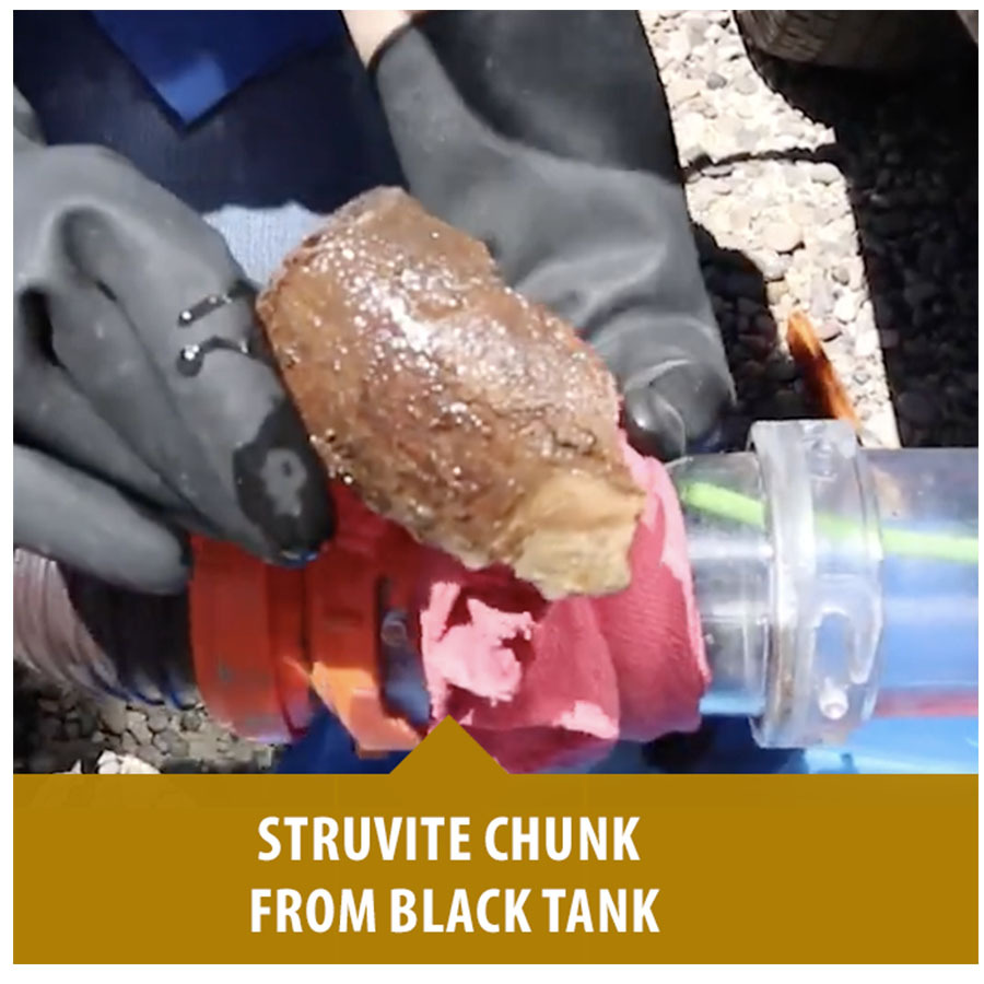 example of Struvites in RV holding tanks